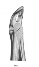  Fig. 2002 